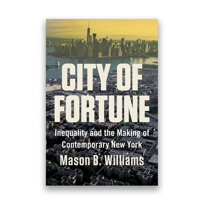 City of Fortune: Inequality and the Making of Contemporary New York