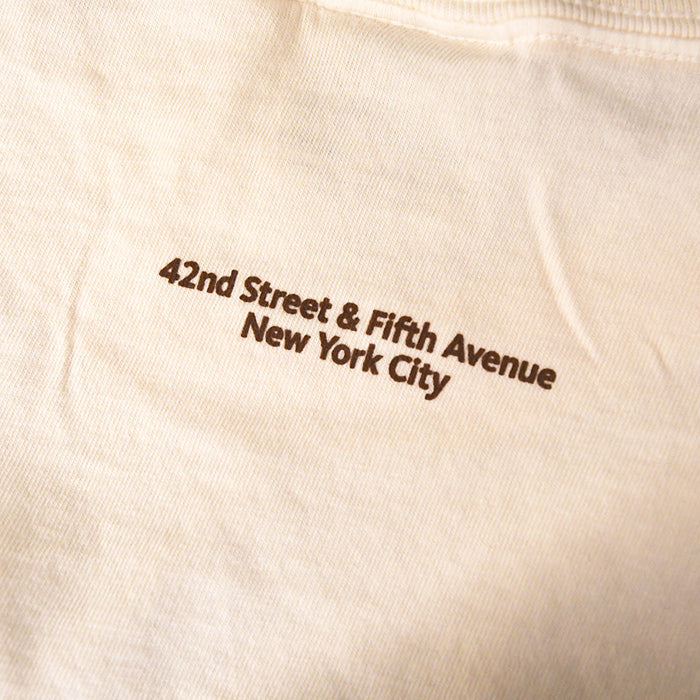 Close-up of the text '42nd Street & Fifth Avenue New York City'