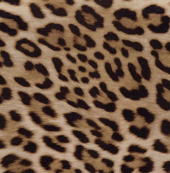 TARA LEOPARD BROWN WOMENS MUSCLE TANK