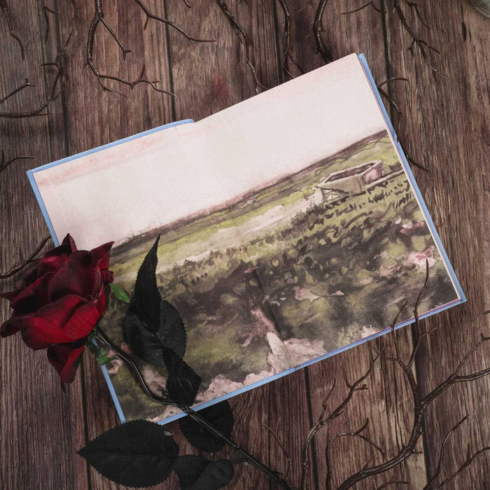 Open book with a scenic illustration on the inside cover laying on a wooden surface with a red rose and branches.
