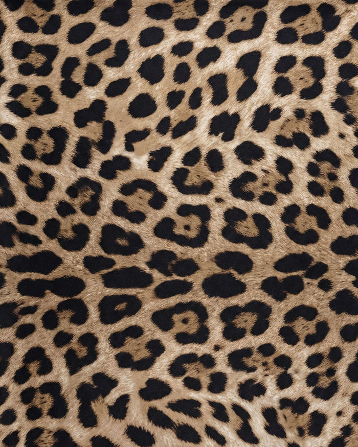 XENA LEOPARD BROWN WOMENS HALTER ONE-PIECE SWIMSUIT