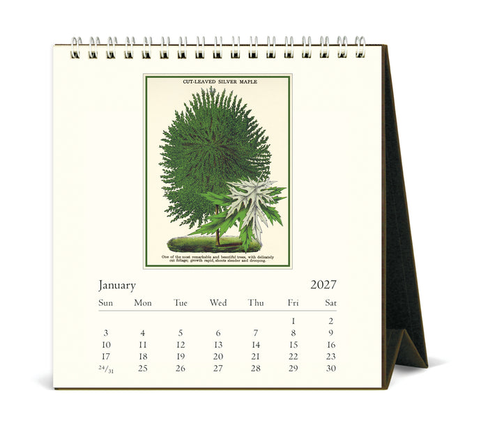 A spiral-bound desk calendar showing the January 2027 page, with a vintage-style botanical illustration of a creviced silver maple on the front cover.