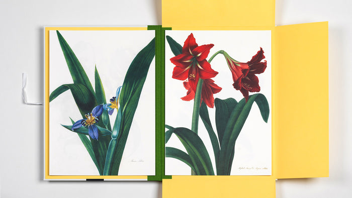 Art Portfolio: Flower Prints