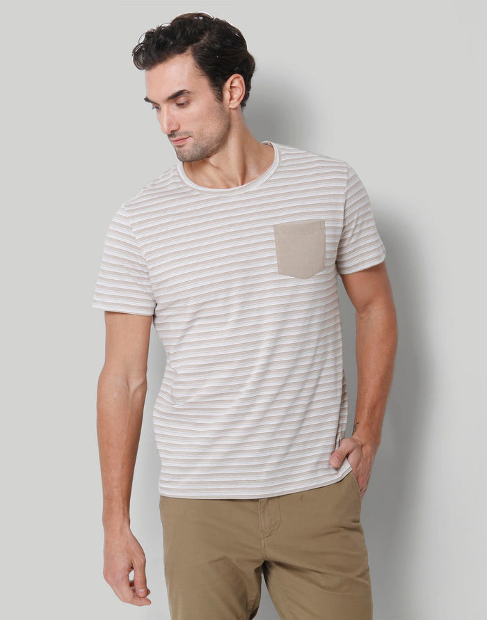 Brown Striped Crew Neck T-Shirt