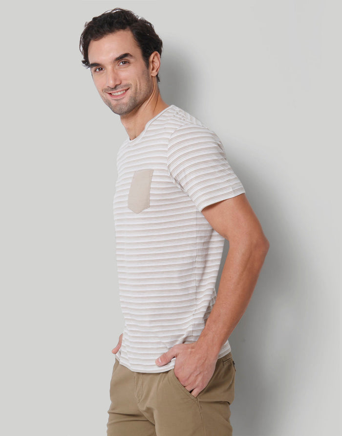 Brown Striped Crew Neck T-Shirt