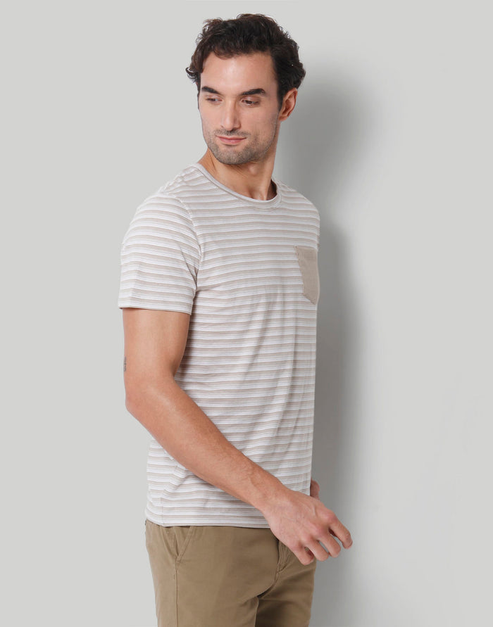 Brown Striped Crew Neck T-Shirt