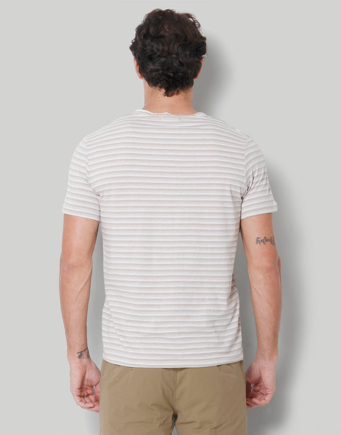 Brown Striped Crew Neck T-Shirt