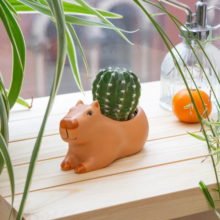 Capybara-shaped plant pot with a cactus on a wooden surface