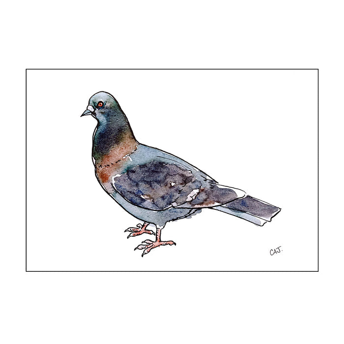 Carolita Johnson New Yorker Prints - The New York Public Library Shop