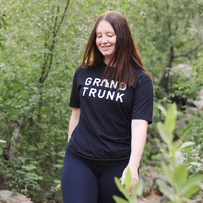 Delicate Arch Tee