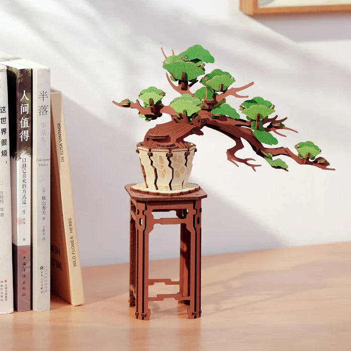 Evergreen Pine Bonsai DIY Wooden Craft - The New York Public Library Shop