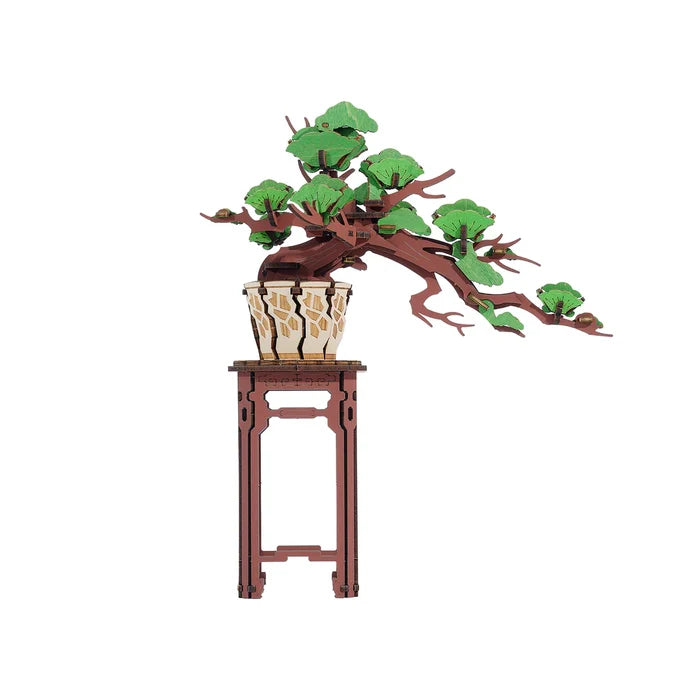 Evergreen Pine Bonsai DIY Wooden Craft - The New York Public Library Shop