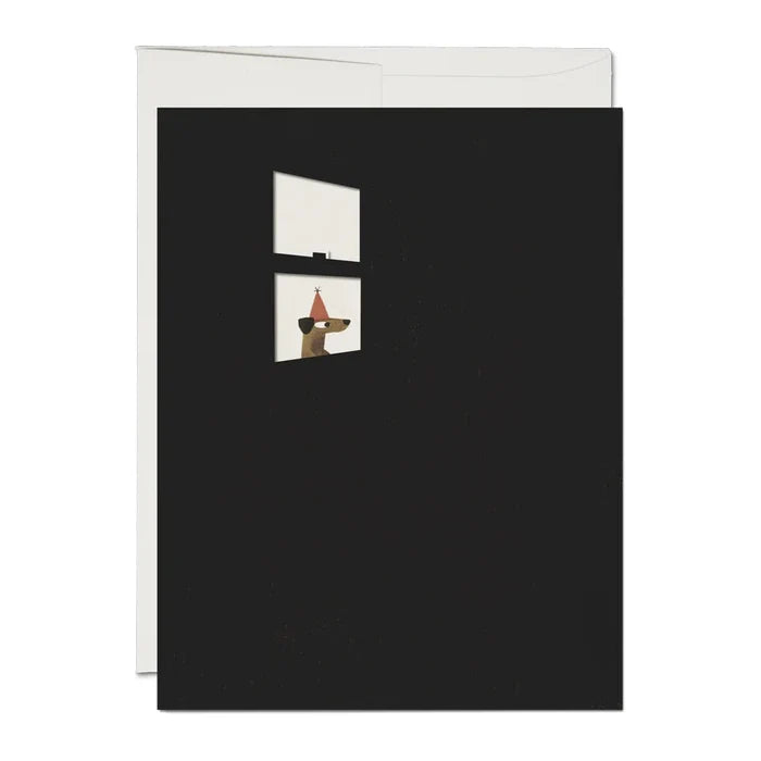 Everyone Is Excited Birthday Notecard - The New York Public Library Shop