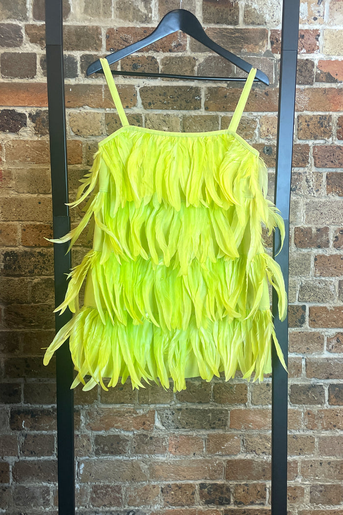 Gianluca Gabrielli Feather Mini Dress image 3
