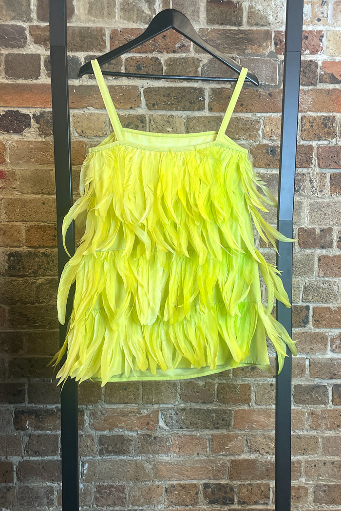 Gianluca Gabrielli Feather Mini Dress image 4