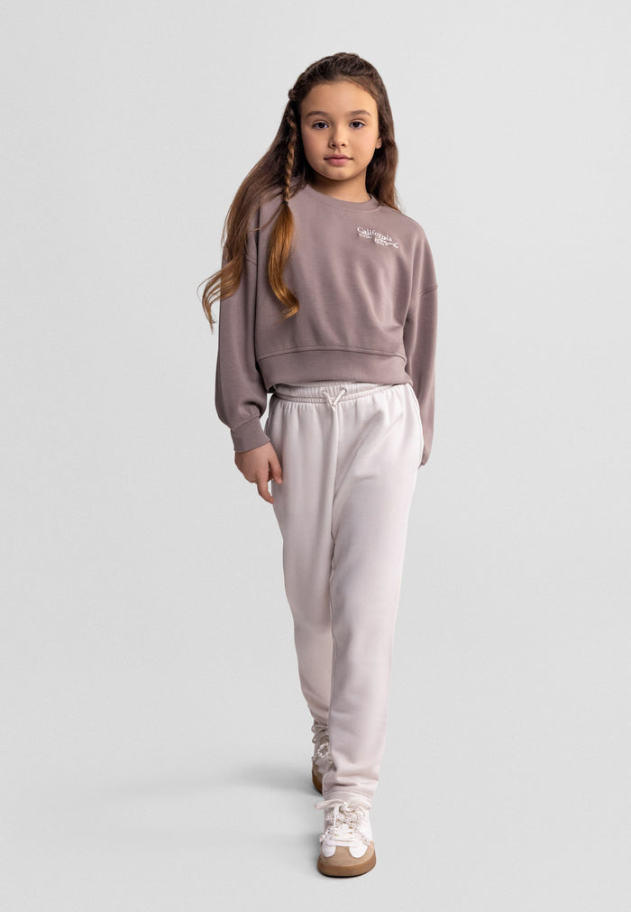 Embroidered Sweatshirt, Brown Crew Neck, Logo - 1
