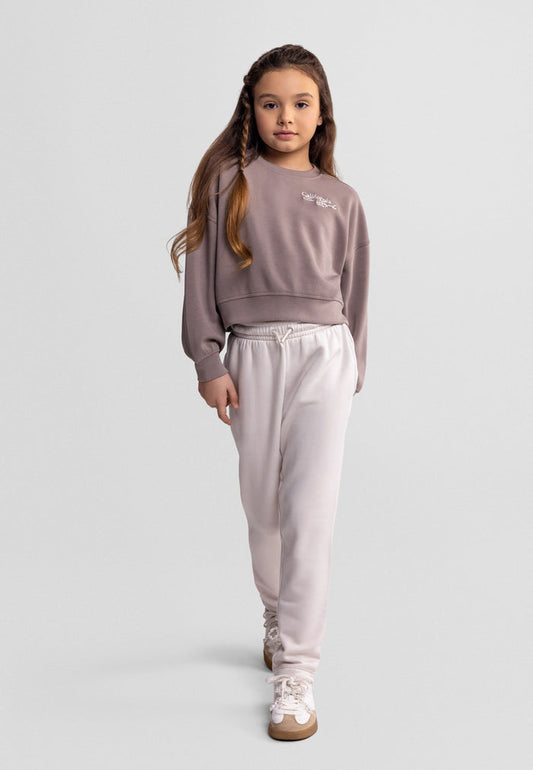 Embroidered Sweatshirt, Brown Crew Neck, Logo - 1