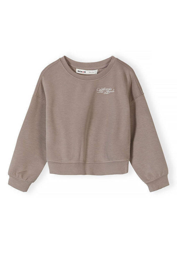 Embroidered Sweatshirt, Brown Crew Neck, Logo - 2