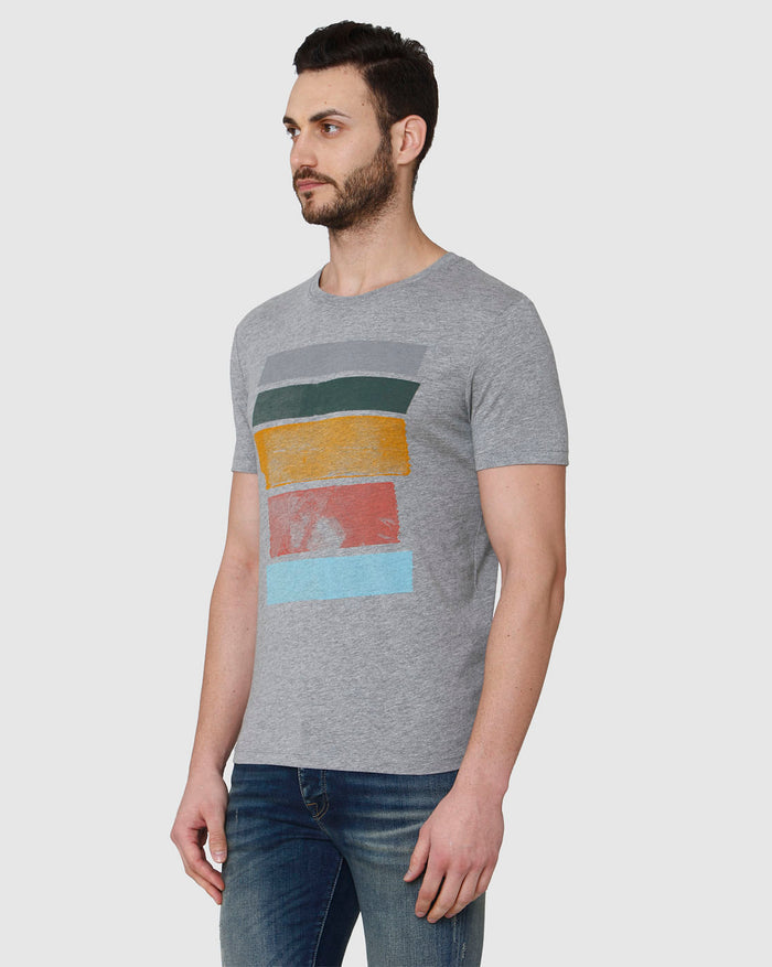 Grey Printed Crew Neck T-Shirt