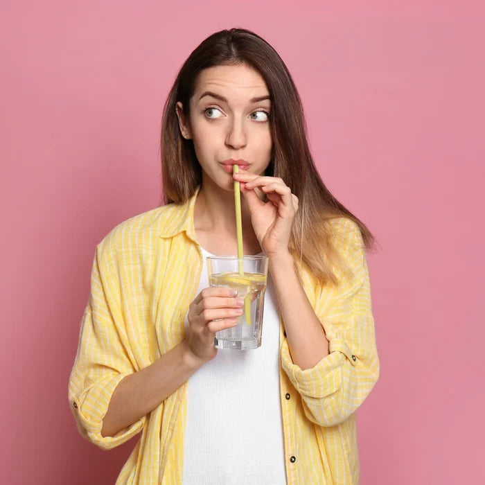 Impastas Reusable Straws - The New York Public Library Shop