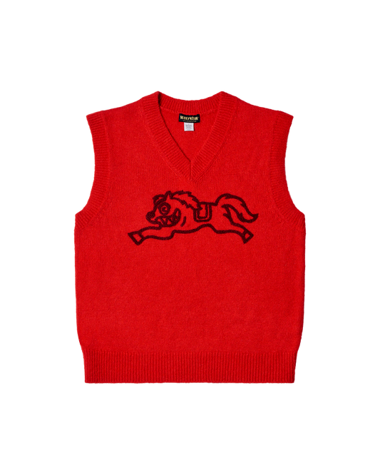 Knit Vest