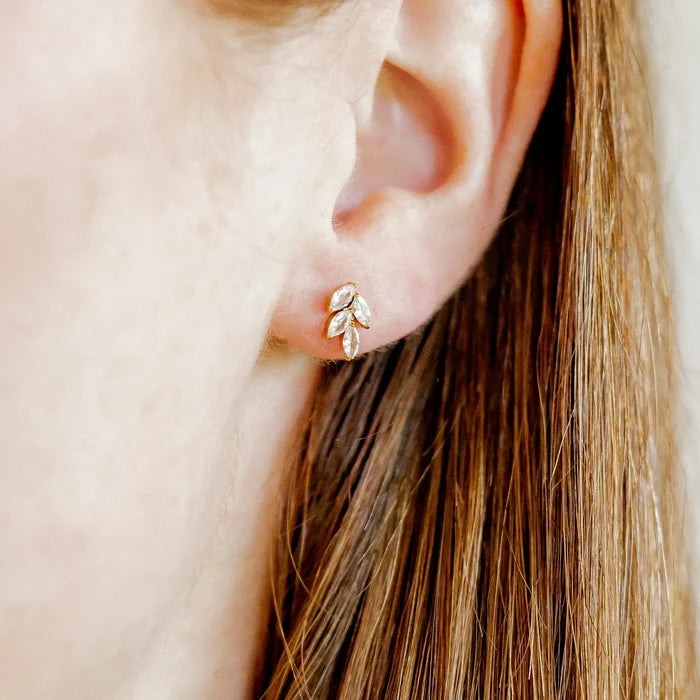 Laurel Gold | Screwback Stud Earrings