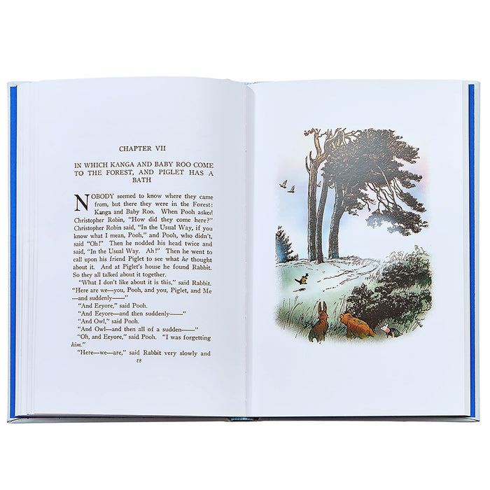 Open book with text and illustration of a forest scene