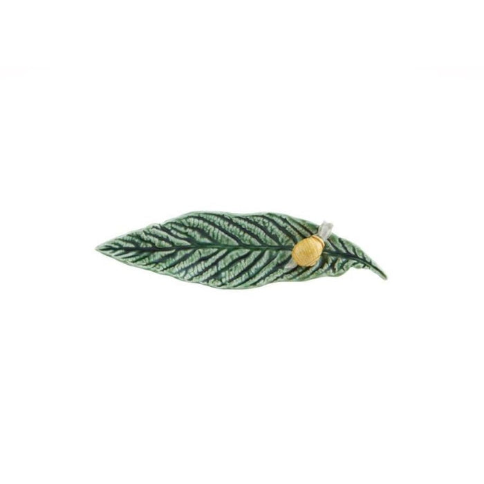 Medlar Tree Leaf with Snail Tray