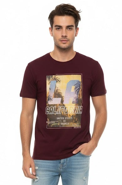 Men's California Graphic Print T-Shirt