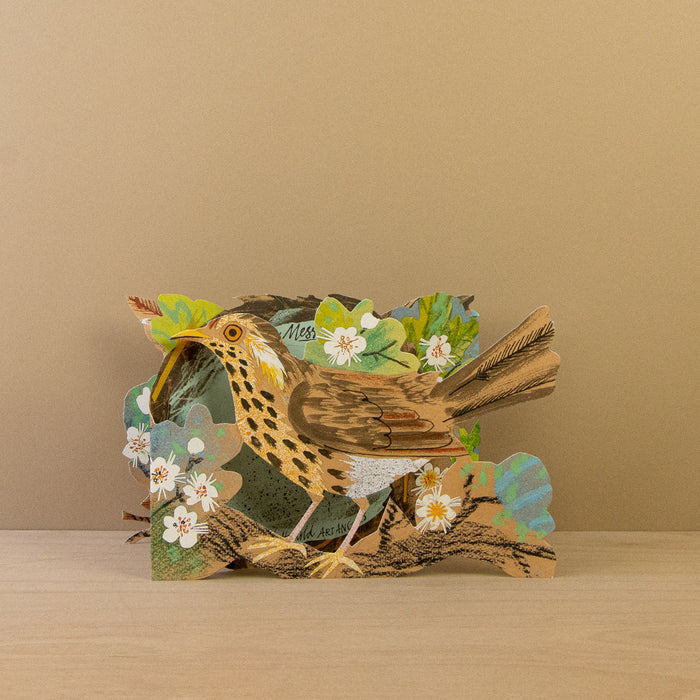 The die-cut bird card folded into a compact standing display, highlighting the detailed illustration of a speckled songbird perched among white blossoms.