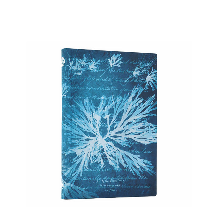 NYPL Anna Atkins' Sea Flowers Journal - The New York Public Library Shop