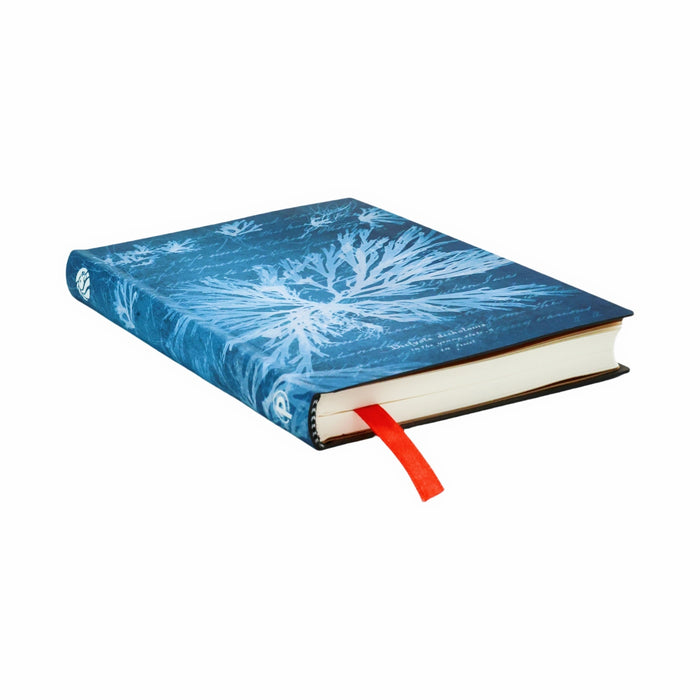 NYPL Anna Atkins' Sea Flowers Journal - The New York Public Library Shop