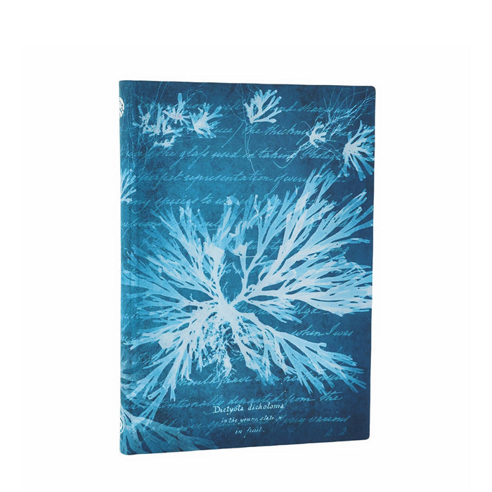 NYPL Anna Atkins' Sea Flowers Journal - The New York Public Library Shop