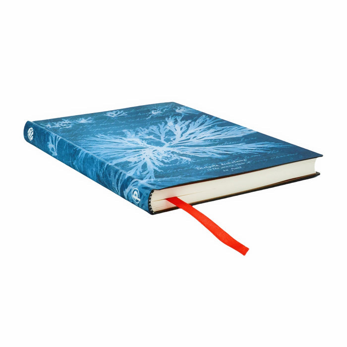 NYPL Anna Atkins' Sea Flowers Journal - The New York Public Library Shop