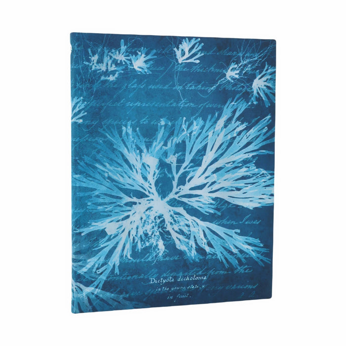 NYPL Anna Atkins' Sea Flowers Journal - The New York Public Library Shop
