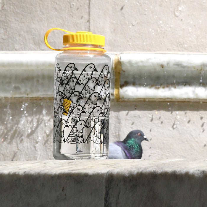 Clear water bottle with pigeon design and yellow cap on a concrete ledge with a pigeon next to it.