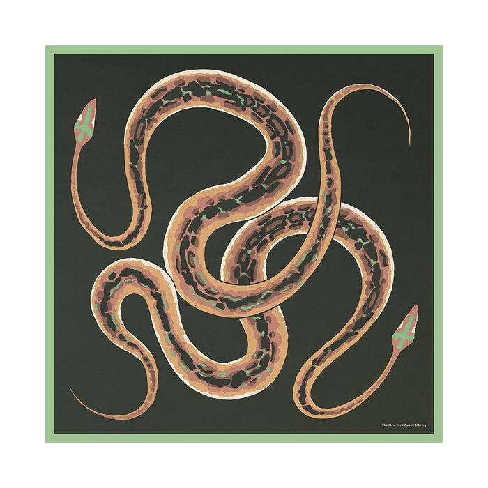 NYPL Snake Silk Scarf - The New York Public Library Shop
