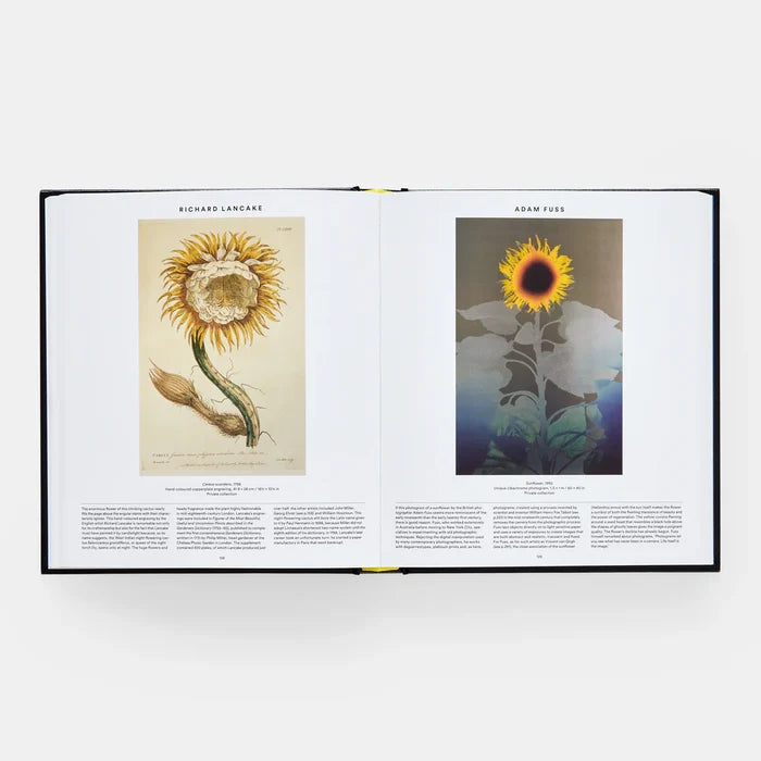 Plant: Exploring the Botanical World