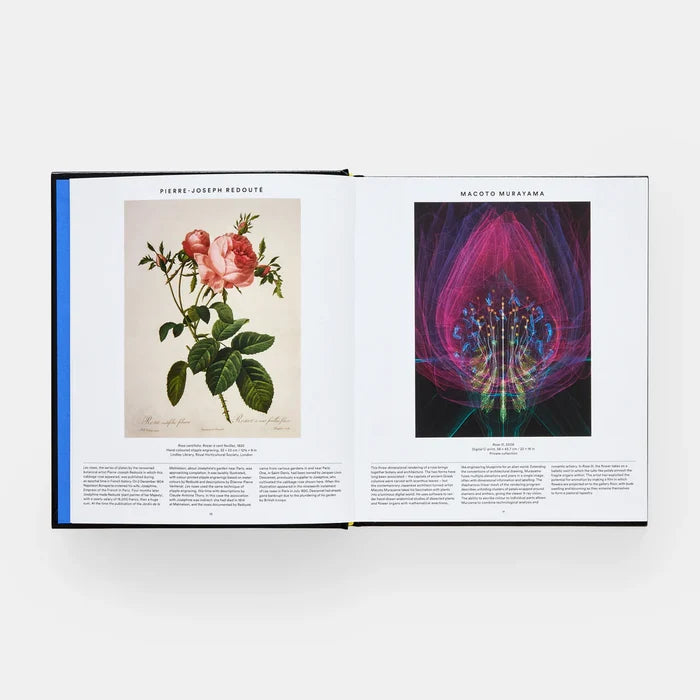 Plant: Exploring the Botanical World