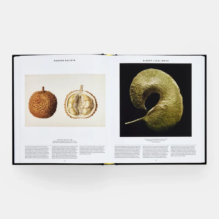 Plant: Exploring the Botanical World