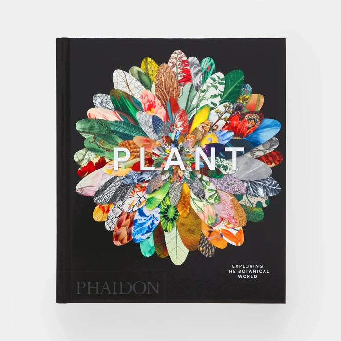 Plant: Exploring the Botanical World