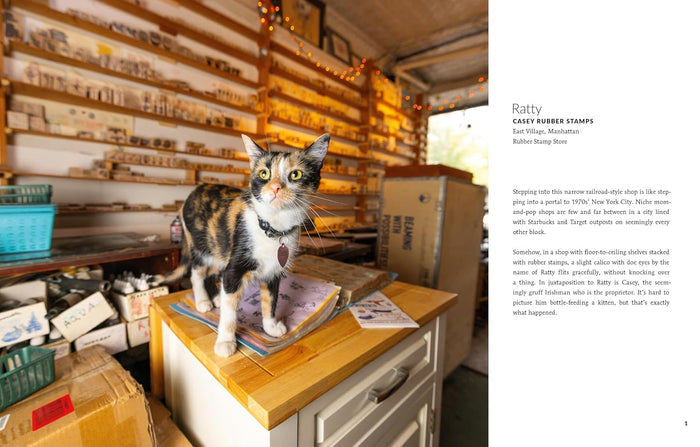 Book spread showing a calico cat standing on a wooden counter inside a shop, with text on the right page reading 'Ratty' and 'Crazy Bubble Stamps.'.