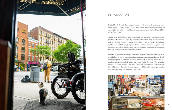 A two-page spread from a printed book showing an introduction section with a large photo of a vintage bicycle in a city street and several smaller inset photos. The left page has a dark upper section with a partial sign and a street scene below, and the right page has the title 'INTRODUCTION' above a collage of urban photographs.