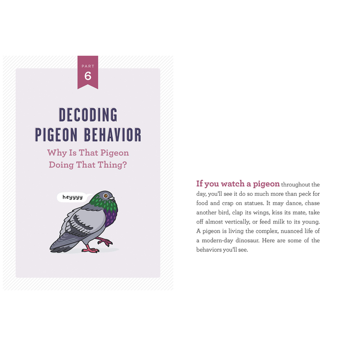 SIGNED! A Pocket Guide to Pigeon Watching: Getting to Know the World's Most Misunderstood Bird - The New York Public Library Shop