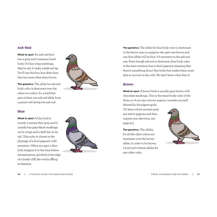 SIGNED! A Pocket Guide to Pigeon Watching: Getting to Know the World's Most Misunderstood Bird - The New York Public Library Shop