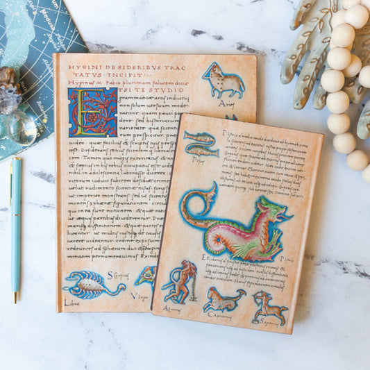 Softcover NYPL Astronomica Journal - The New York Public Library Shop