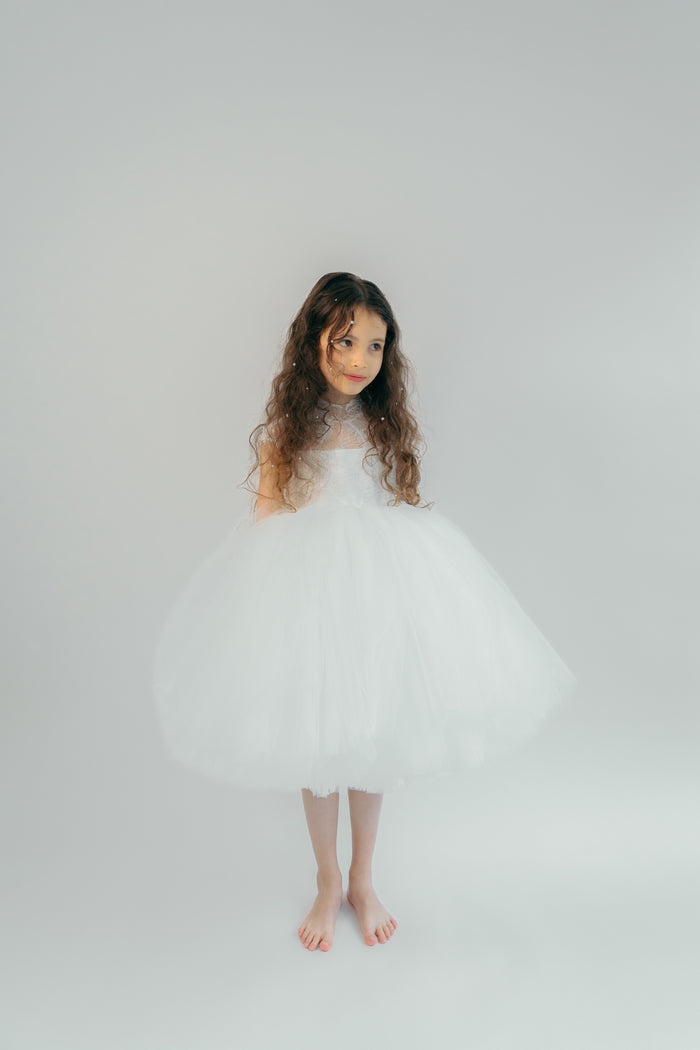 The Alice Dress