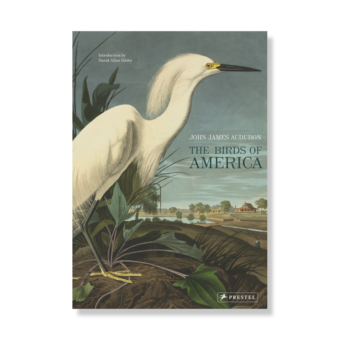 The Birds of America - The New York Public Library Shop