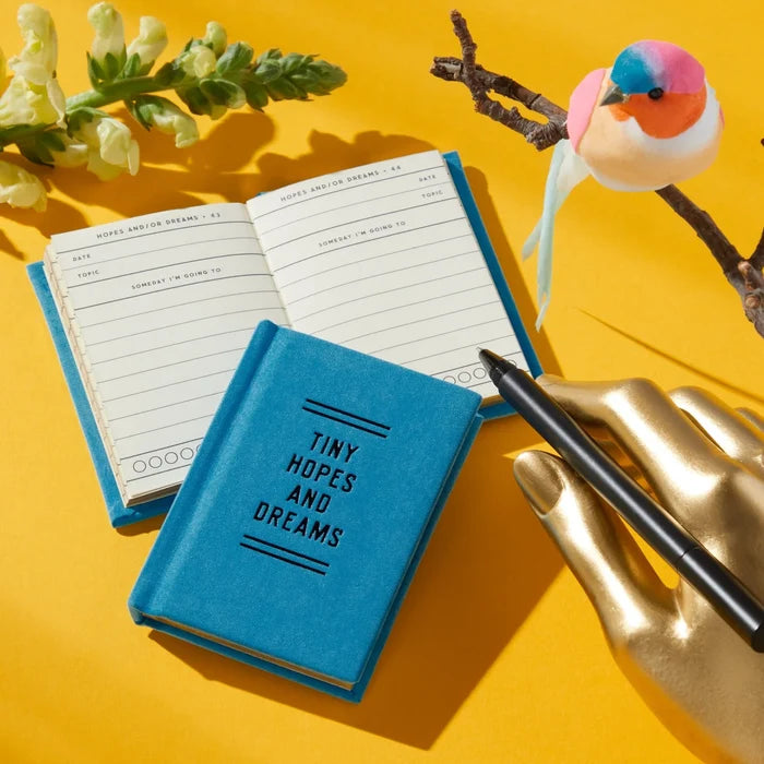 Tiny Hopes and Dreams Tiny Diary - The New York Public Library Shop