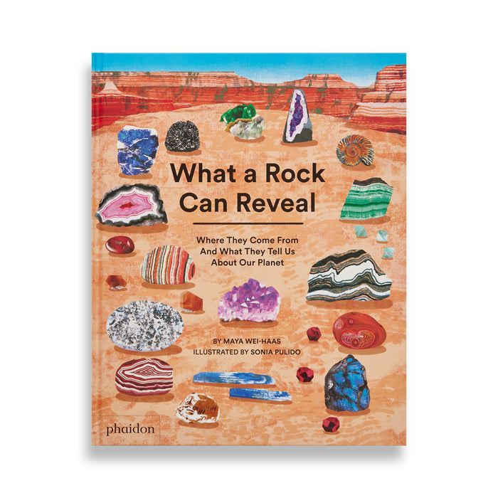 What a Rock Can Reveal: Where They Come from and What They Tell Us about Our Planet